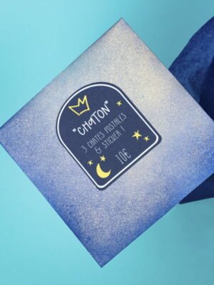Pochette Surprise - Format Chaton